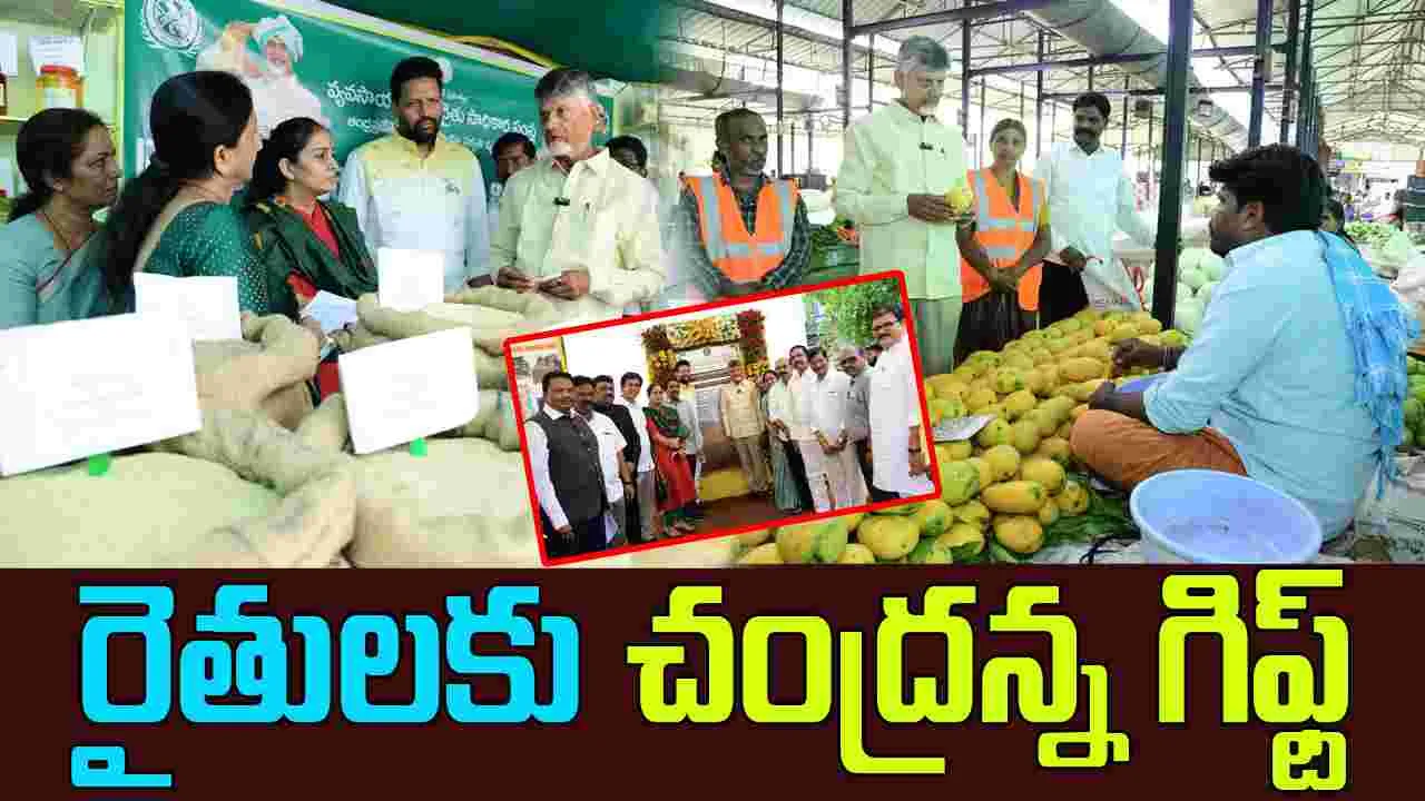 CM Chandrababu: కేంద్రం రైతులకు ఇచ్చే అమౌంట్‌కు సమానంగా జమ చేస్తాం, ఆ రోజు నుంచి ఉచిత బస్సు ప్రయాణ  సౌకర్యం: చంద్రబాబు 