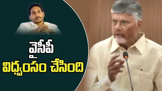 Chandrababu Naidu: ఒక్కో రంగాన్ని ప్రక్షాళన చేసుకుంటూ ముందుకెళ్తున్నాం.. సీఎం చంద్రబాబు