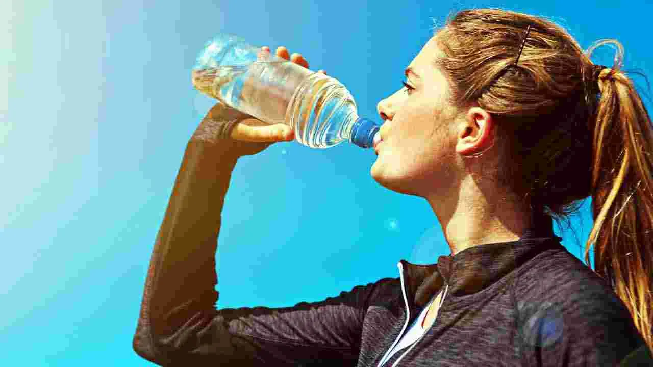 Kidneys Health Tips: కిడ్నీలకు హాని కలిగించే 6 అలవాట్లు ఇవే..