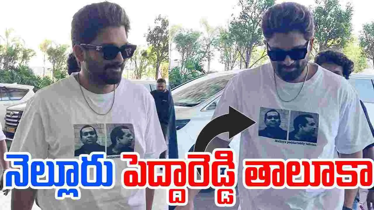 Allu Arjun: అల్లు అర్జున్ నెల్లూరు పెద్దారెడ్డి తాలూకా అని తెలుసా..