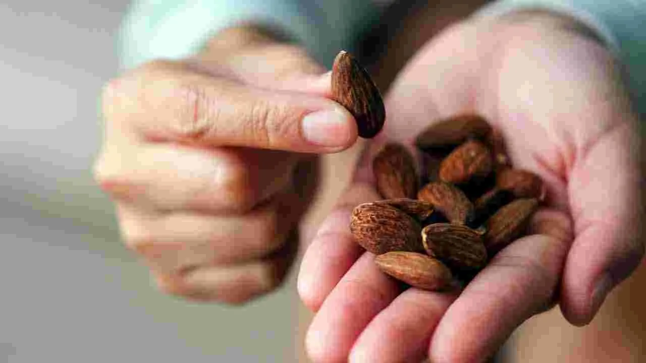 Summer Health Tips: వేసవిలో రోగనిరోధక శక్తి పెరగాలంటే.. ఇవి తినండి చాలు.. 