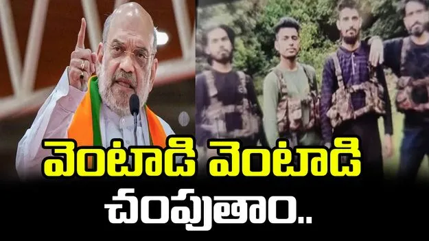 Pahalgam Terror Attack: పహల్గామ్ ఉగ్ర దాడి.. తొలిసారి స్పందించిన కేంద్ర హోంశాఖ మంత్రి అమిత్ షా