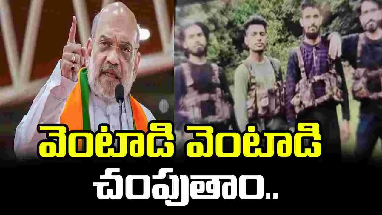 Pahalgam Terror Attack: పహల్గామ్ ఉగ్ర దాడి.. తొలిసారి స్పందించిన కేంద్ర హోంశాఖ మంత్రి అమిత్ షా