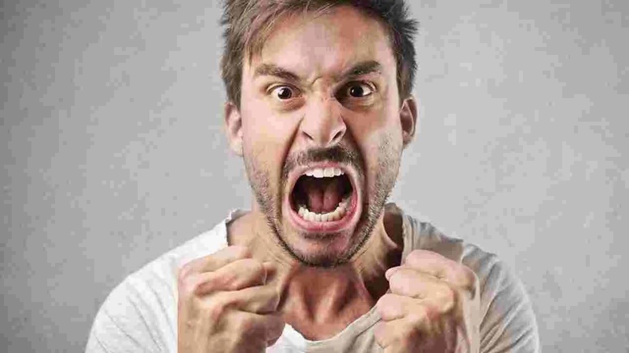 Anger Issues: మీకు కోపం ఎక్కువగా వస్తుందా.. తీవ్రమైన నష్టాలు ఎదుర్కొంటారు..