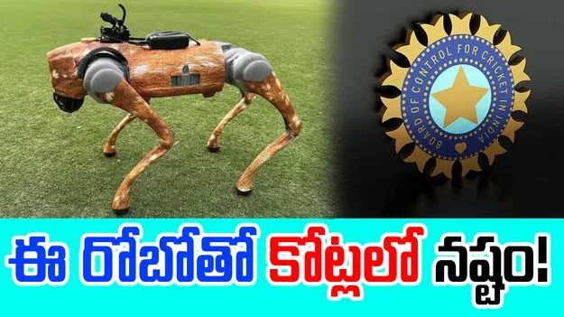 BCCI-IPL 2025: బీసీసీఐని ముంచేసిన రోబో.. కోట్లలో లాస్..