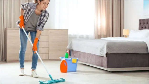 House Cleaning Tips: ఈ 3 వస్తువులతో ఇంటిని తుడిస్తే జిడ్డు మరకలతో పాటు కీటకాలు అన్నీ పరార్..