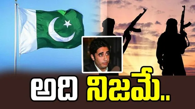 Bilawal Bhutto: ఉగ్రవాద సంస్థలతో పాక్ సంబంధాలను ఒప్పుకున్న బిలావల్