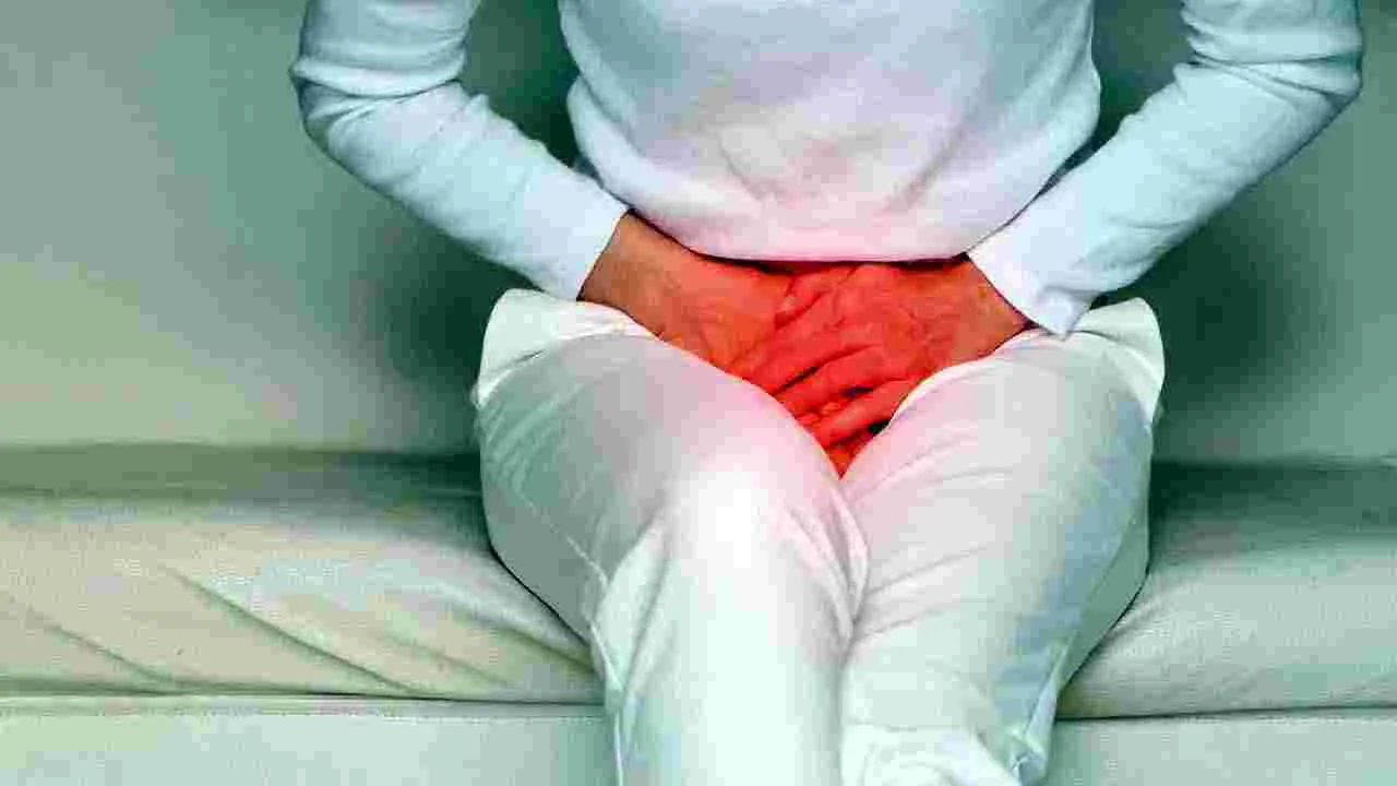 Health Tips: మూత్రాన్ని బలవంతంగా ఆపుతున్నారా.. అయితే ఈ సమస్యలు తప్పవు.. 