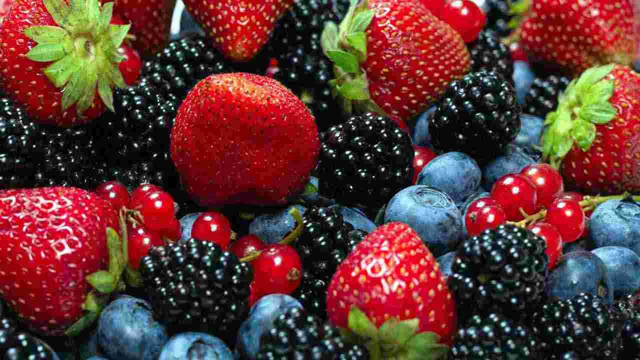 Brain Health: మీ బ్రెయిన్ షార్ప్‌గా మారాలంటే.. ఈ 6 ఆహారాలు తీసుకోండి చాలు.. 