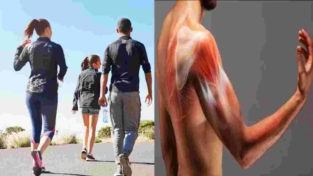 Walking Health: నెల రోజుల పాటు.. రోజూ 30 నిముషాల పాటు నడిస్తే ఎన్ని లాభాలో తెలుసా..