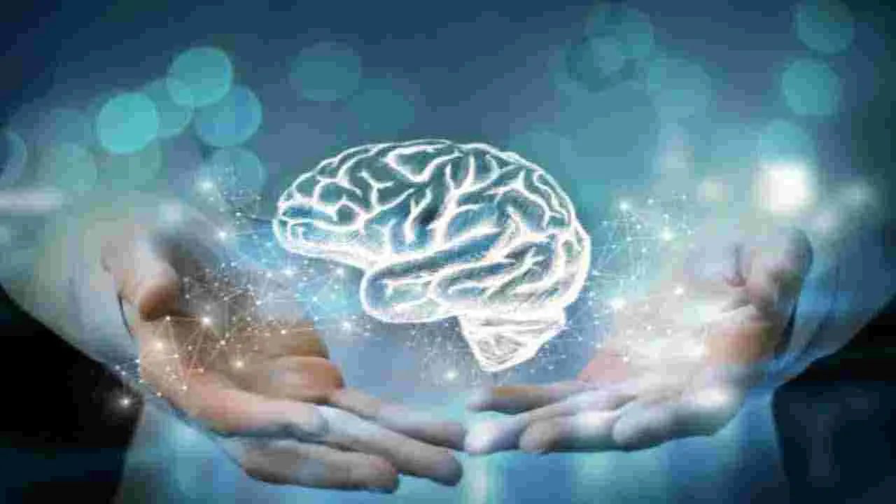 Brain Health: మీ బ్రెయిన్ షార్ప్‌గా మారాలంటే.. ఈ 6 ఆహారాలు తీసుకోండి చాలు.. 