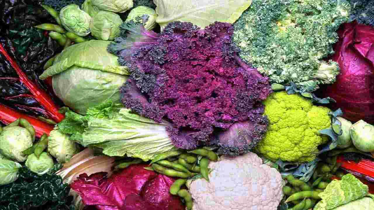 Brain Health: మీ బ్రెయిన్ షార్ప్‌గా మారాలంటే.. ఈ 6 ఆహారాలు తీసుకోండి చాలు.. 