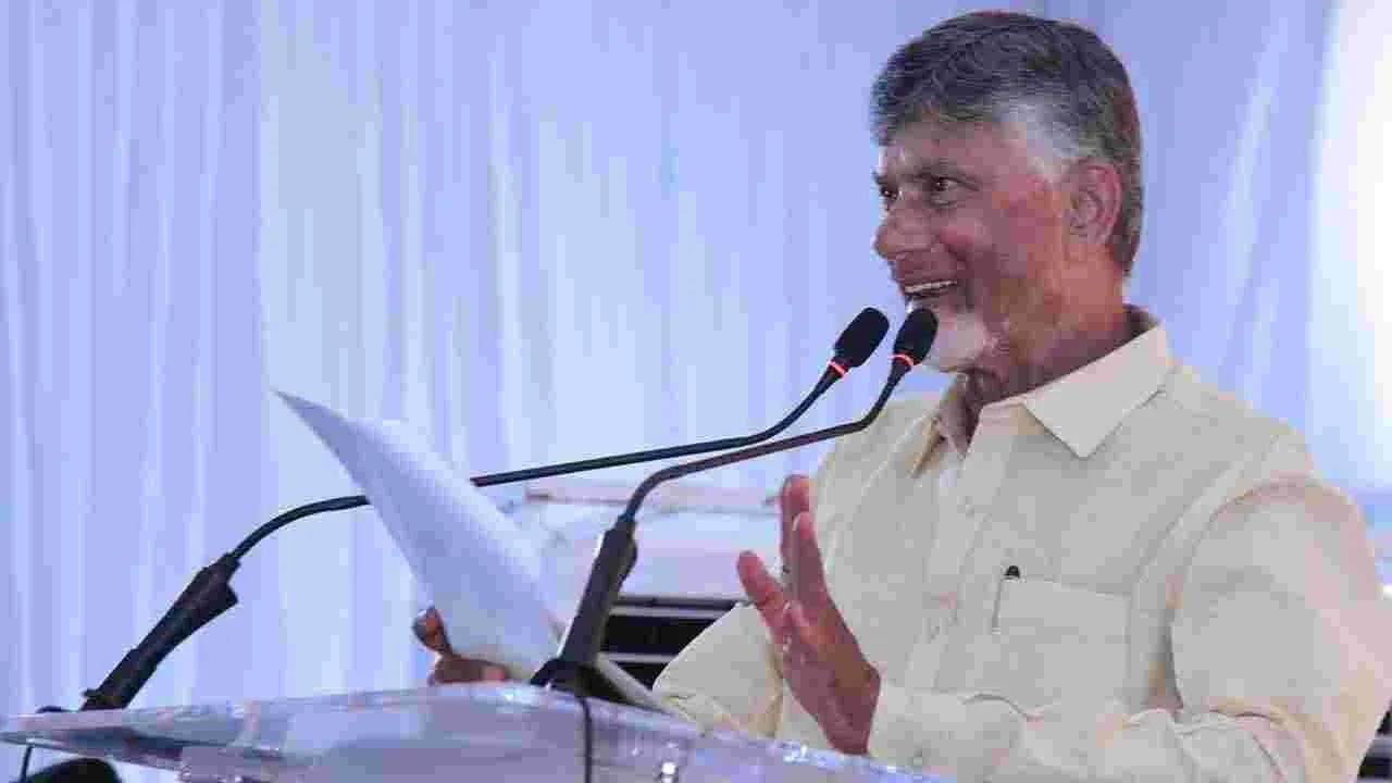 CM Chandrababu: నెల్లూరు జిల్లాలో సీఎం చంద్రబాబు పర్యటన..