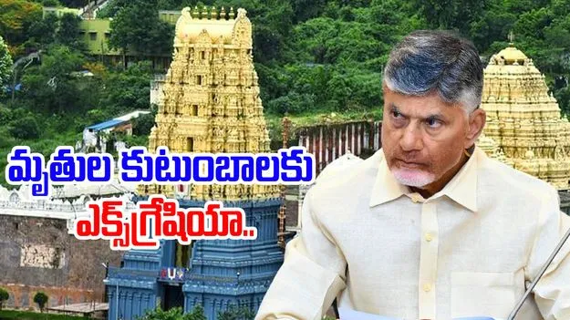 CM Chandrababu: మృతుల కుటుంబాలకు రూ.25 లక్షల చొప్పున ఎక్స్గ్రేషియా