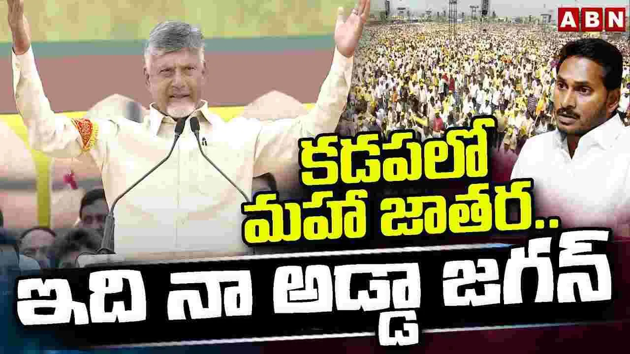 TDP Mahanadu: మహానాడు గ్రాండ్ సక్సెస్.. మీ రుణం తీర్చుకుంటా: సీఎం చంద్రబాబు