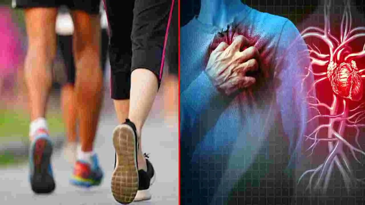 Walking Health: నెల రోజుల పాటు.. రోజూ 30 నిముషాల పాటు నడిస్తే ఎన్ని లాభాలో తెలుసా..
