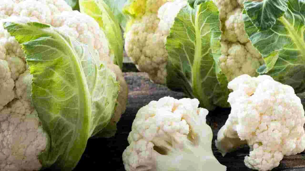 Protein Food: గుడ్ల కంటే ఎక్కువ ప్రొటీన్ లభించే 7 ఆహారాలివే..