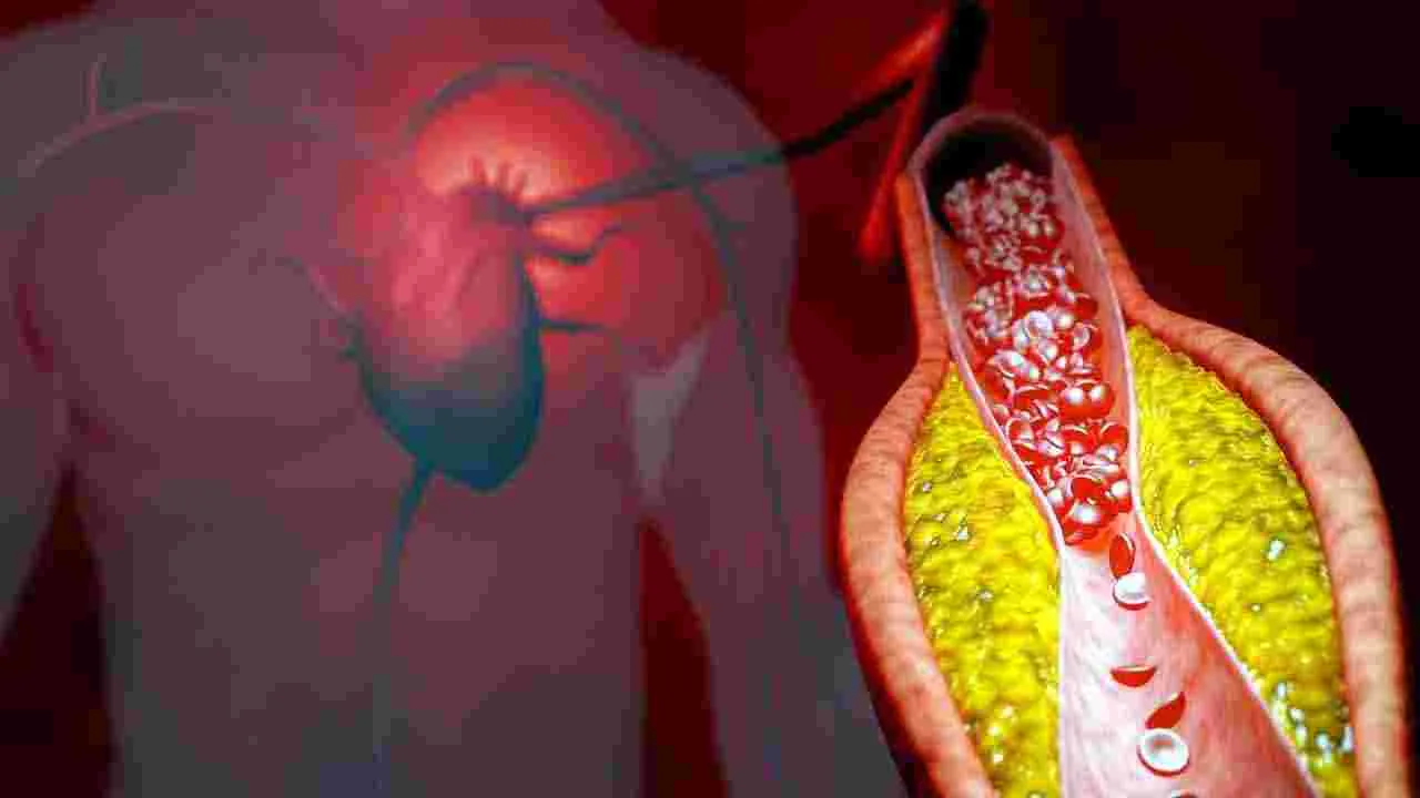 Health Tips: రోజుకు డజన్ గుడ్లు తింటున్నారా.. అయితే మీరు డేంజర్లో పడ్డట్లే..