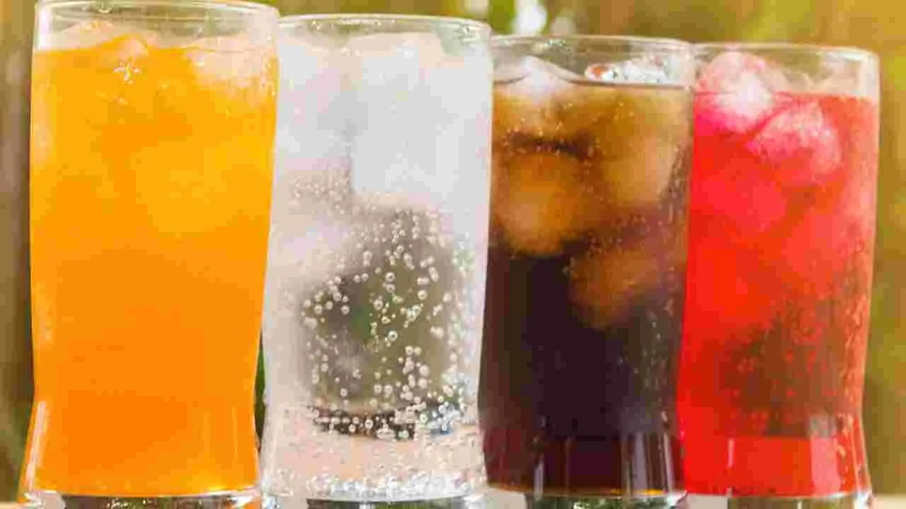 Summer Cool Drinks: వేసవిలో కూల్ డ్రింక్స్ తాగుతున్నారా.. ఈ ముఖ్యమైన విషయాలు తెలుసుకోండి..