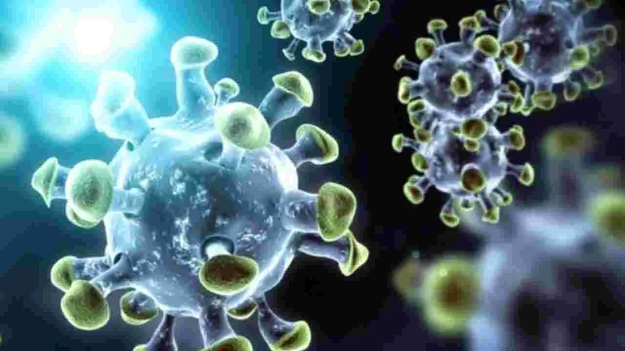 COVID Case: కరోనా కలకలం.. అనంతలో తొలి కేసు