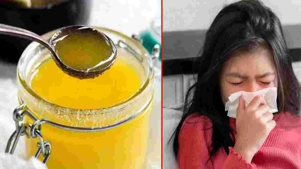 Summer Health Tips: వేసవిలో ముక్కు నుంచి రక్తం కారుతోందా.. అయితే ఇలా చేయండి..