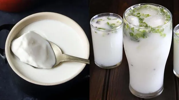 Curd VS Buttermilk: వేసవిలో మజ్జిగ లేదా పెరుగు.. శరీరాన్ని చల్లగా ఉంచడానికి ఏది మంచిదో తెలుసా..