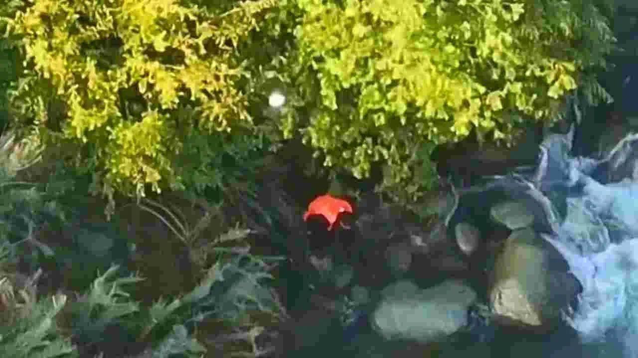 Srinagar: ఉగ్రవాదులకు సహకరించిన వ్యక్తి నదిలో దూకి మృతి