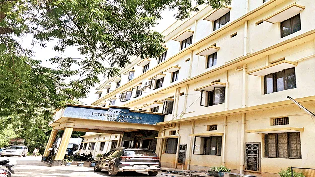 పశువులకు ‘సూపర్‌’ వైద్యం 