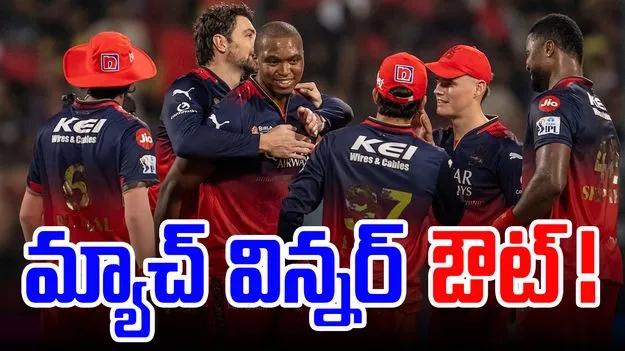 RCB IPL 2025: స్టార్ బ్యాటర్ దూరం.. ప్లేఆఫ్స్కు ముందు ఆర్సీబీకి బిగ్ షాక్