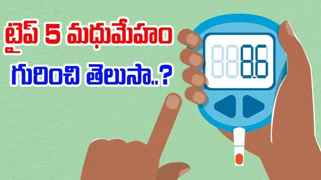 Type 5 Diabetes: టైప్‌ 5 మధుమేహం గురించి విన్నారా