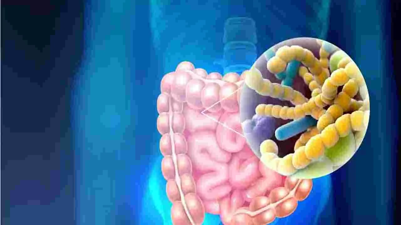 Cloves: వేసవిలో లవంగాలు తినడం వల్ల ఎన్ని లాభాలున్నాయో తెలుసా.. 