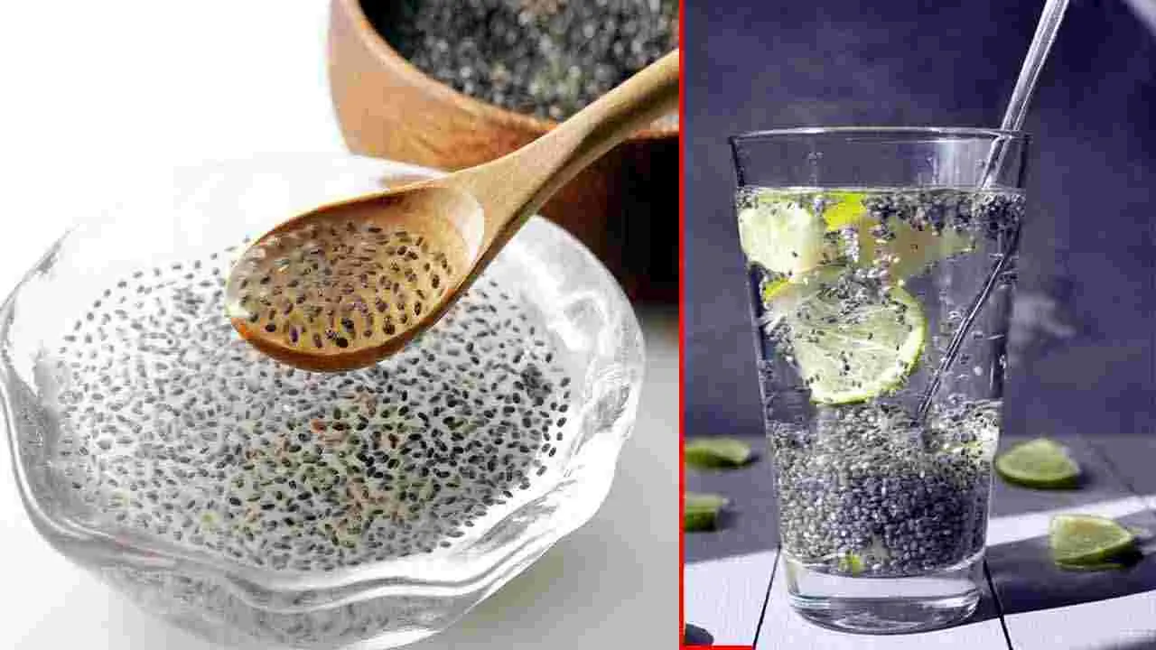 Chia Seeds: చియా గింజలను నిమ్మకాయ, పుదీనా నీటిలో కలిపి తాగితే.. ఎన్ని ప్రయోజనాలో తెలుసా.. 