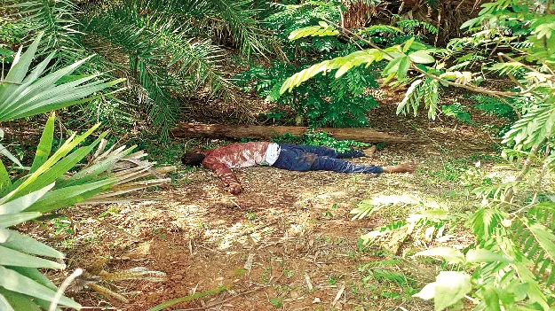 పాలవలసలో యువకుడి హత్య