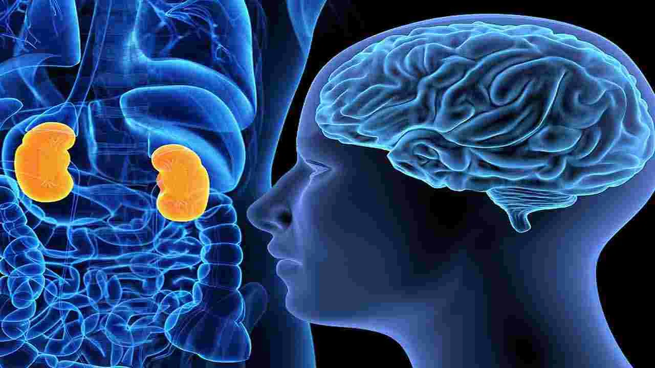 Health Tips: మూత్రాన్ని బలవంతంగా ఆపుతున్నారా.. అయితే ఈ సమస్యలు తప్పవు.. 