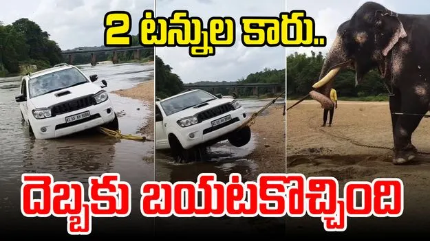 Elephant Viral Video: నదిలో పడిపోయిన కారు.. బయటకు లాక్కొచ్చిన ఏనుగు..