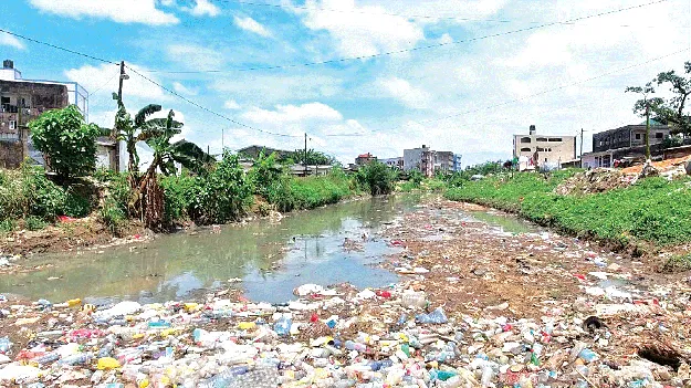 Survival is a threat! మనుగడకే ముప్పు!