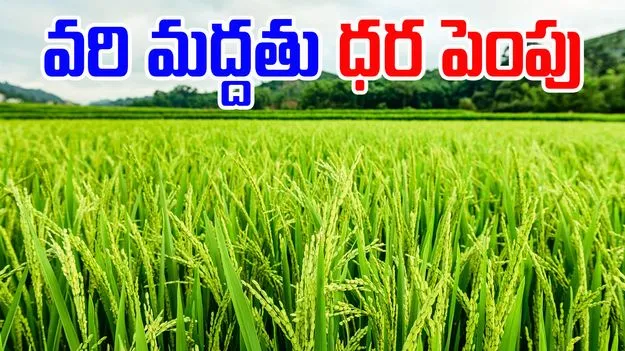 Central Government: రైతులకు కేంద్రం గుడ్‌న్యూస్.. వరి మద్దతు ధర పెంపు..