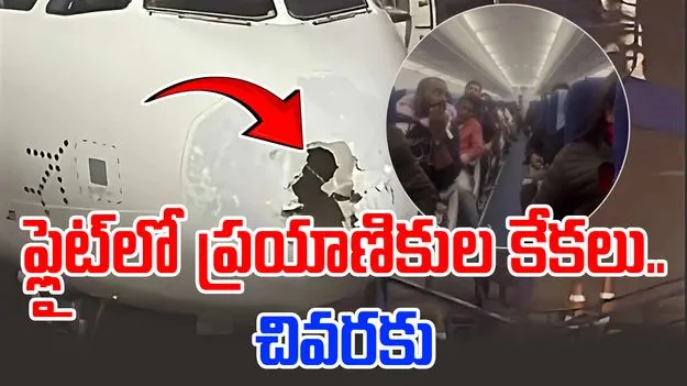 Viral Video: విమానంపై వడగళ్ల వాన.. 227 మంది ఉన్న ఫ్లైట్కు తప్పిన ఘోర ప్రమాదం..