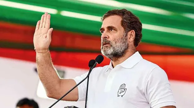 Rahul Gandhi: కాంగ్రె్‌స పార్టీలో రెండు రకాల గుర్రాలు