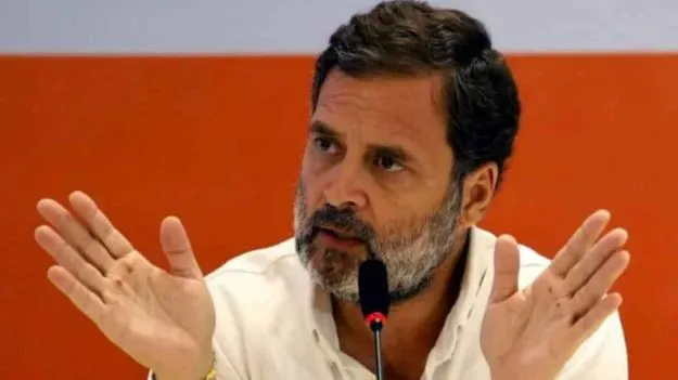Rahul Gandhi: కాంగ్రె్‌స పార్టీలో రెండు రకాల గుర్రాలు