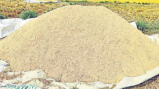 వర్రీ తీర్చేనా!