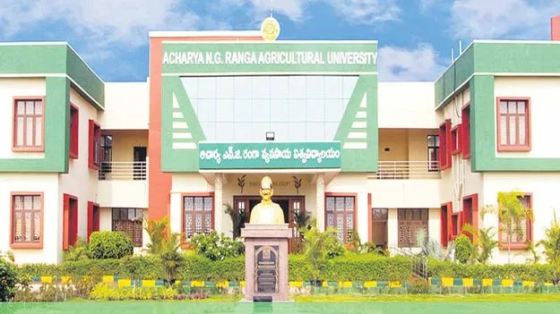 Andhra Pradesh universities: పరిశోధన ప్రగతి నామమాత్రం