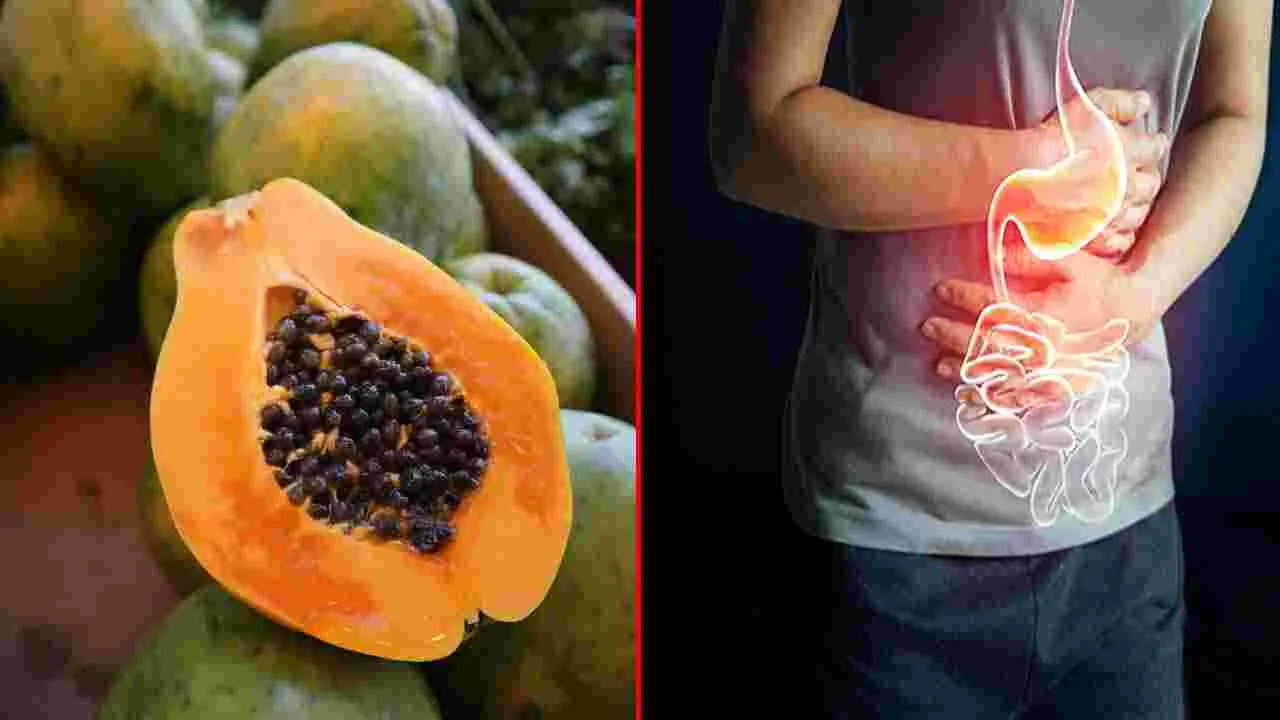 Papaya Seeds: బొప్పాయి తింటూ గింజలు పక్కన పడేస్తున్నారా.. వాటి లాభాలు తెలిస్తే.. 
