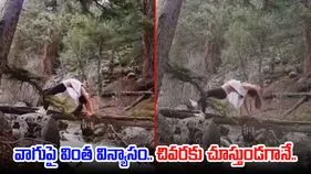 Woman Viral Video: వాగుపై విన్యాసాలు చేస్తూ రీల్స్.. చివరకు ఈ యువతికి ఏమైందో చూస్తే.. 
