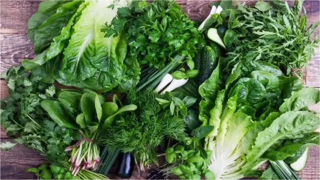 Green Leafy Vegetables: వారానికి ఎన్ని రోజులు ఆకుకూరలు తినాలో తెలుసా..