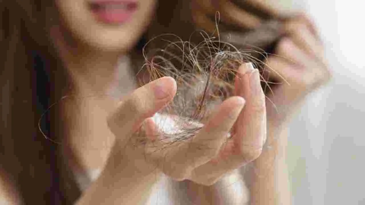 Hair Care Tips: మీ జుట్టు ఎక్కువగా రాలిపోతుందా.. ఇంట్లో ఉన్న ఈ వస్తువులతో పరిష్కారం