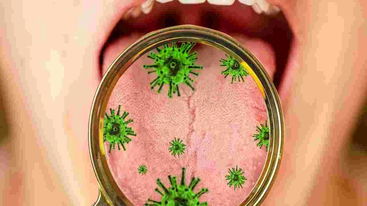 Cloves: వేసవిలో లవంగాలు తినడం వల్ల ఎన్ని లాభాలున్నాయో తెలుసా.. 