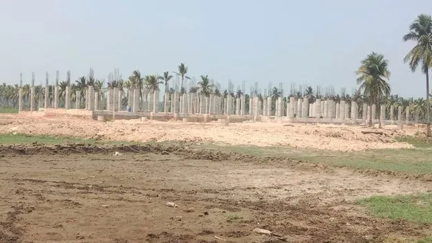 హా..క్వా విశ్వవిద్యాలయం