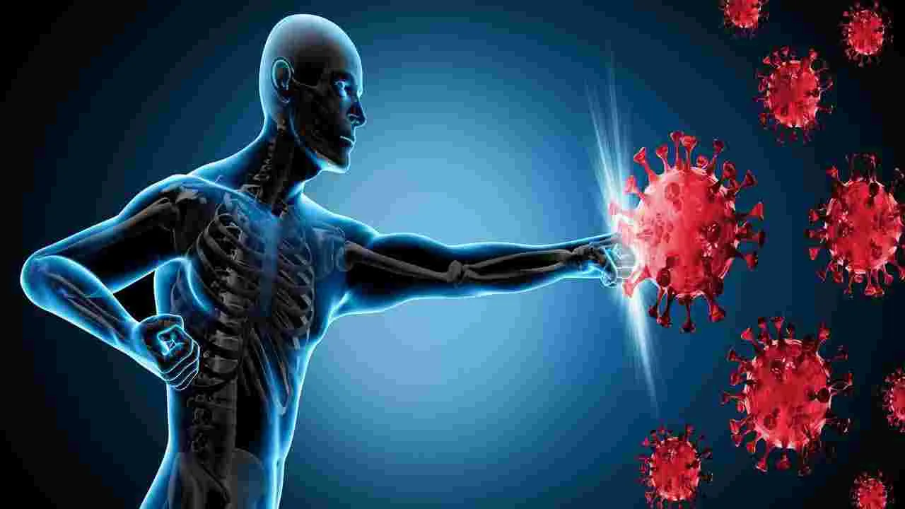 Soaked Cashew: నానబెట్టిన జీడిపప్పును తినడం వల్ల ఎన్ని లాభాలున్నాయో తెలుసా.. 