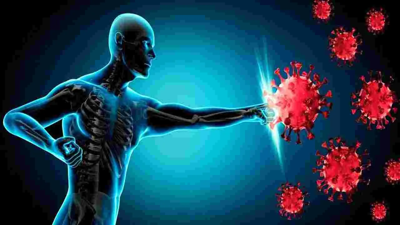 Chia Seeds: చియా గింజలను నిమ్మకాయ, పుదీనా నీటిలో కలిపి తాగితే.. ఎన్ని ప్రయోజనాలో తెలుసా.. 